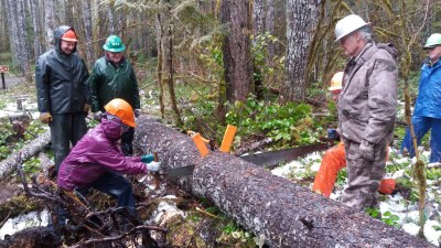 Crosscut Saw Training - Quilcene Ranger Station
