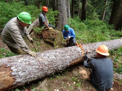 Crosscut Saw Training - Quilcene Ranger Station