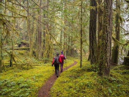 Olympia Hiking & Backpacking Committee