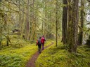 Olympia Hiking & Backpacking Committee