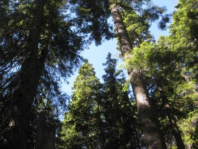 The Essentials of Backpacking - Olympia - 2026