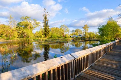 Birds of the Northwest: Field Trip - Nisqually National Wildlife Refuge