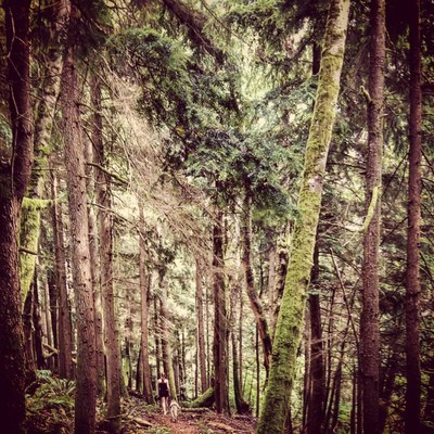 Essentials of Outdoor Leadership