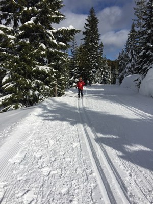 Basic Cross-country (Nordic) Skiing - 2023