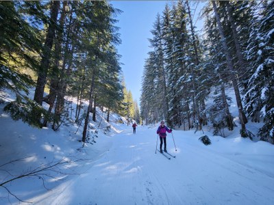 Basic Cross Country (Nordic) Skiing - 2024