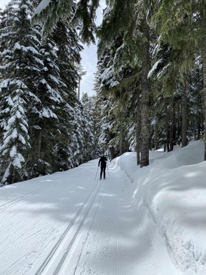 Olympia Nordic Ski Instructor Clinic