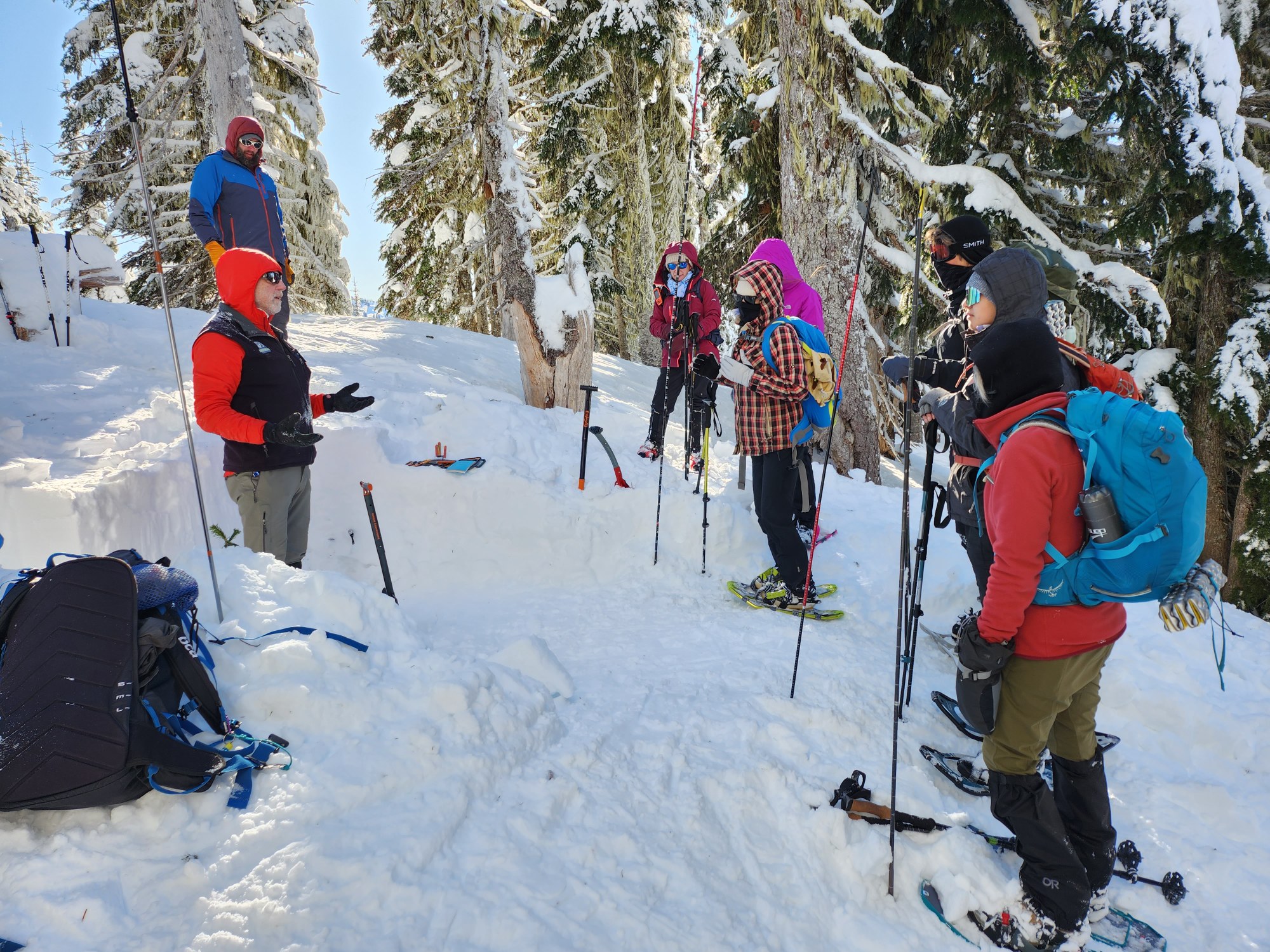 Basic Snowshoeing Olympia 2024 — The Mountaineers