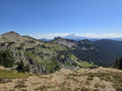 Wilderness Skills - Olympia - 2026