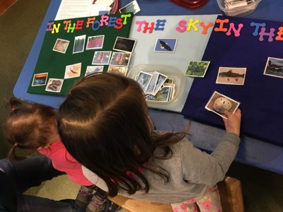 Capitol Land Trust Workshop