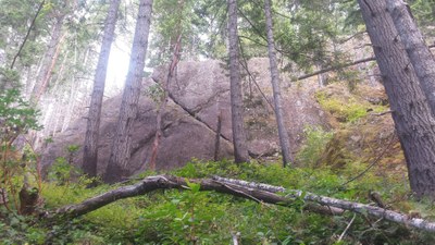 WAYA Rock Climbing - McCleary Cliffs