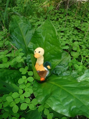 Activity - Hands On Children's Museum