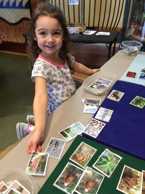 Activity - Hands On Children's Museum