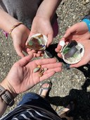 Summer Camp - Nature Art Camp - Olympia- 2026