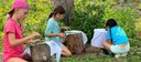 Summer Day Camp - Nature Art Camp - Olympia