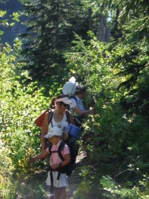 Volunteer Skills Workshop