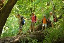 Family Backpacking Skills - Online Classroom