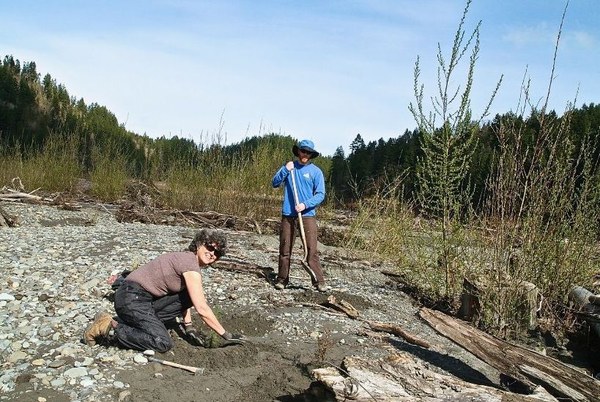 Elwha Revegetation.jpg