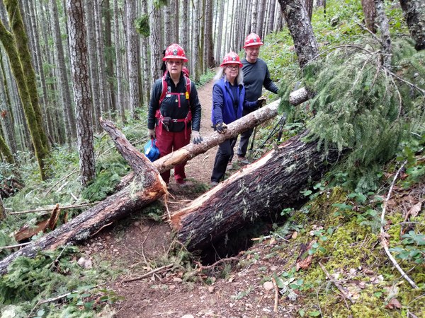 tree gouges trail.jpg