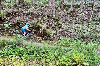 Introduction to singletrack riding for bikepackers - Grand Ridge Park (Snoqualmie)