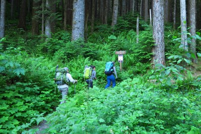 Following Alpine Rock - Conditioner Hike