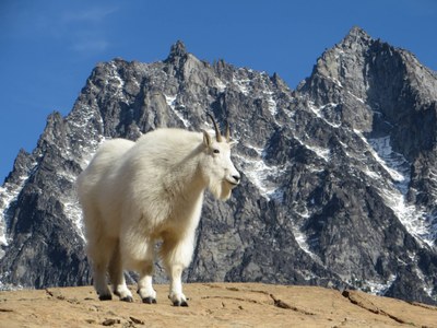 Mountain weather for Mountaineers