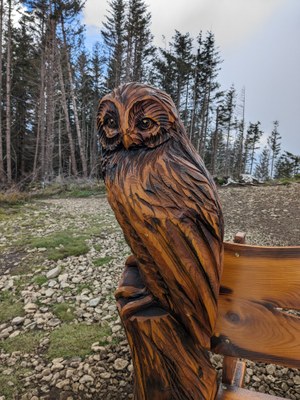 Climbing Conditioner - West Tiger Mountain No. 3 Cable Line