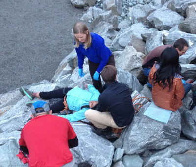 Wilderness First Aid (WFA) Course   - Seattle - 2023