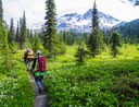 Seattle Backpacking Committee