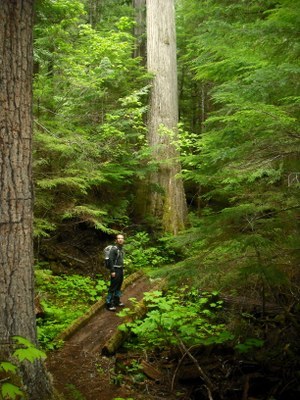 Basic Backpacking Backup Field Trip - Thunder Creek