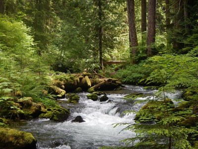 Basic Backpacking Field Trip - Greenwater, Echo & Lost Lakes