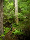 Basic Backpacking Field Trip - Thunder Creek