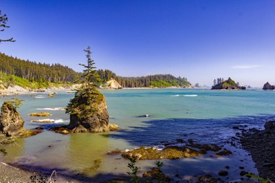 Coastal Backpacking Field Trip - Olympic Coast South: The Wildcatter Coast
