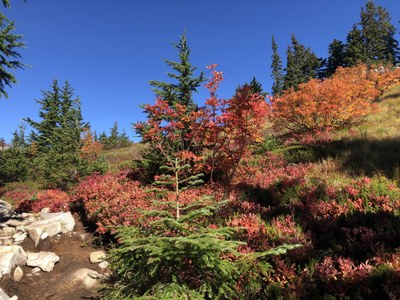 CHS Alumni Hike - Granite Mountain Trail