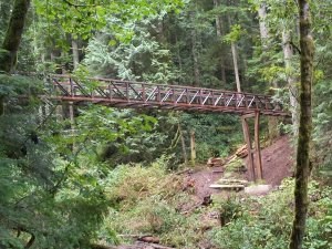 CHS Alumni Hike - Tiger Mountain Trail