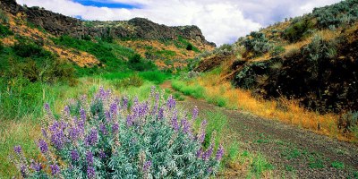 CHS 1 Hike - Cowiche Canyon
