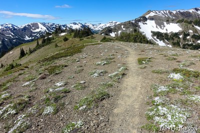 CHS 1 Hike - Grand Ridge (Olympics)