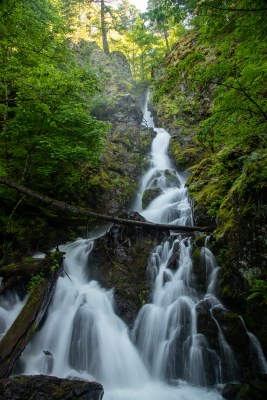 CHS 1 Hike - Hamilton Mountain