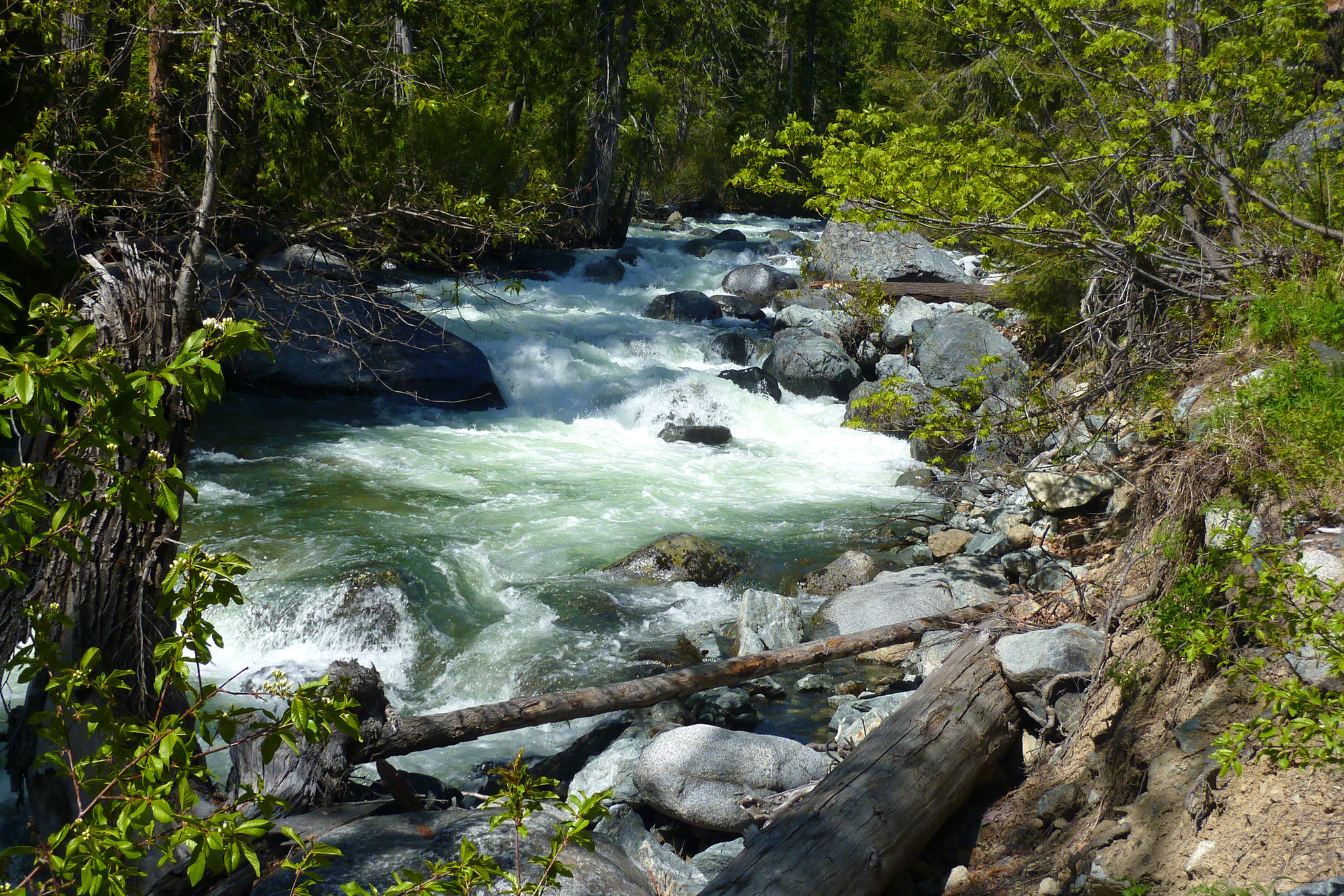 CHS 1 Hike Ingalls Creek — The Mountaineers