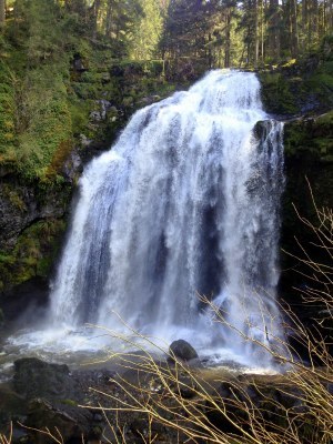 CHS 1 Hike - Little Mashel Falls