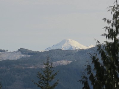 CHS 1 Hike - Lookout Mountain Forest Preserve