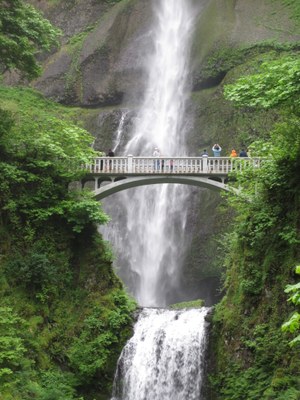CHS 1 Hike - Multnomah Falls, Angels Rest, Devils Rest & Wahkeena Falls