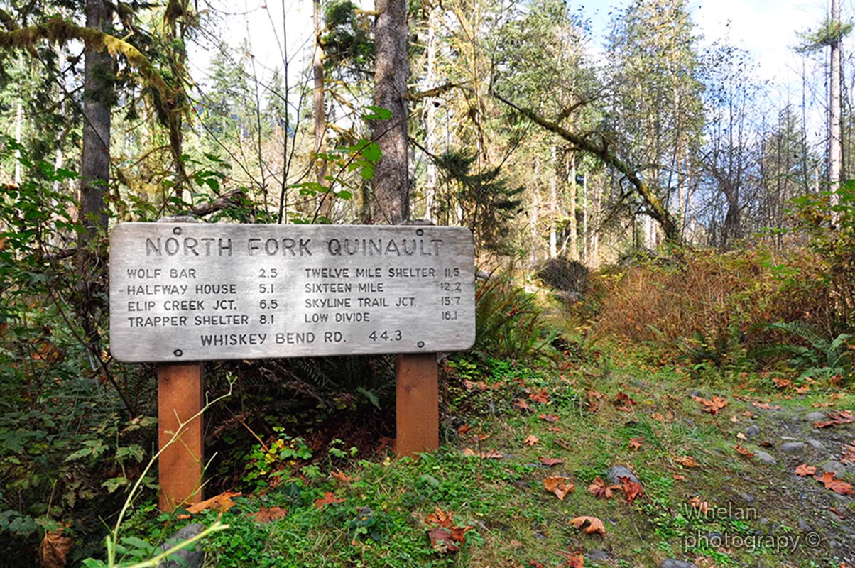 CHS 1 Hike North Fork Quinault River — The Mountaineers