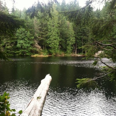 CHS 1 Hike - Pine & Cedar Lakes