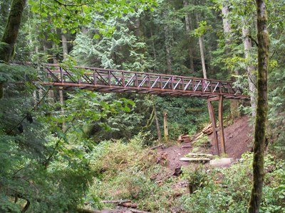 CHS 1 Hike - Tiger Mountain Trail