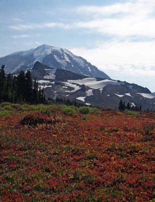 CHS 2 Hike - Around Mother Mountain