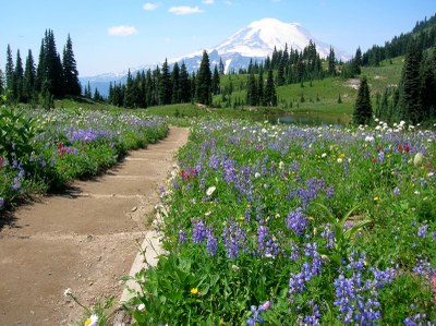 CHS 2 Hike - Benchmark Mountain via West Cady Ridge