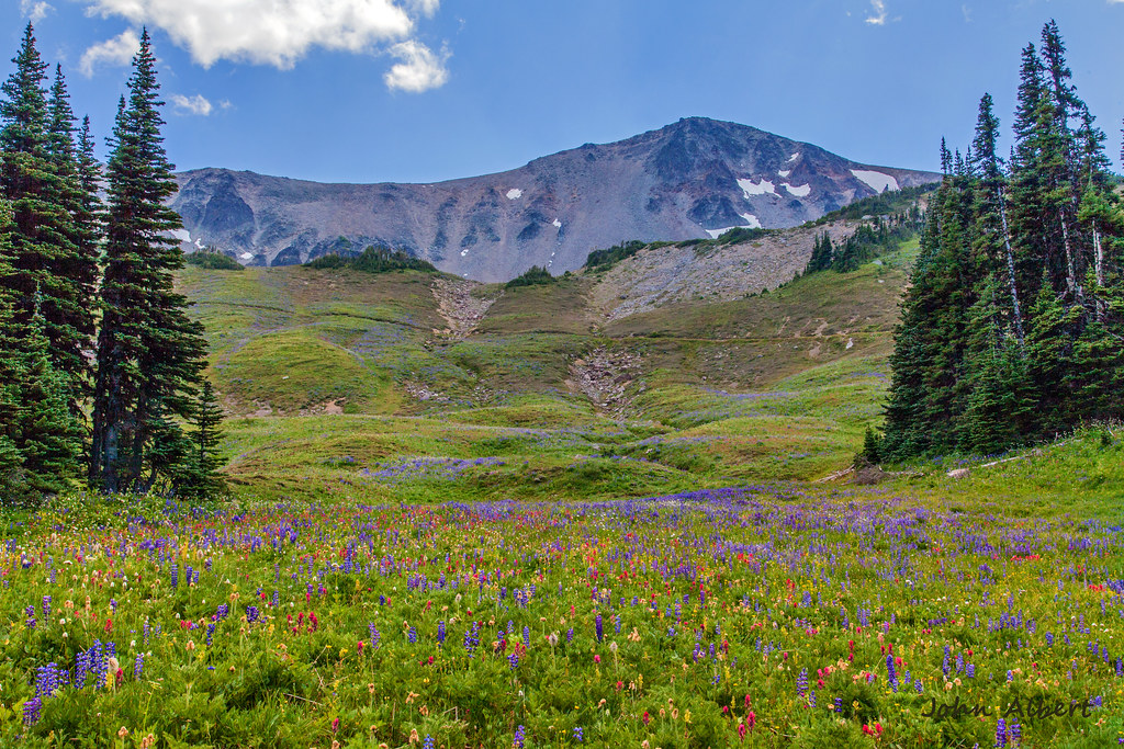 CHS 2 Hike Berkeley Park — The Mountaineers