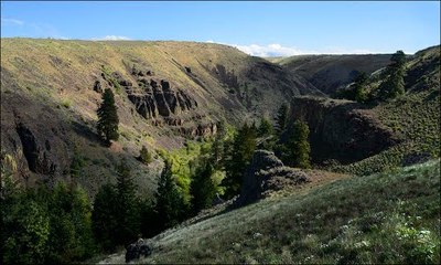 CHS 2 Hike - Black Canyon (Umtanum Ridge)