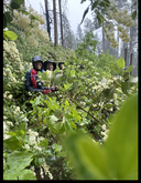 CHS 2 Hike - Dirtyface Lookout