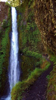 CHS 2 Hike - Eagle Creek to Tunnel Falls